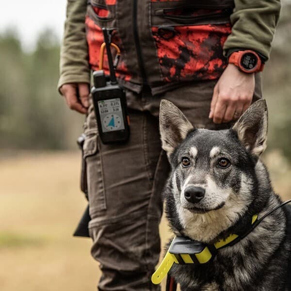 Garmin Alpha 200 — фото 10